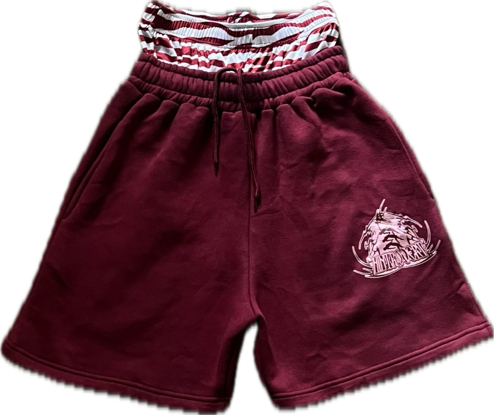Twin stars shorts