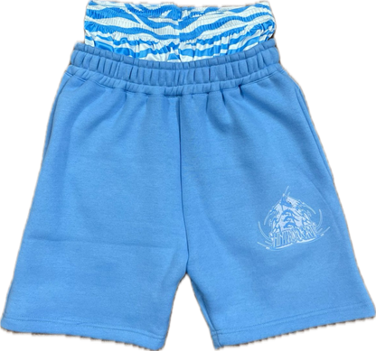 Twin stars shorts